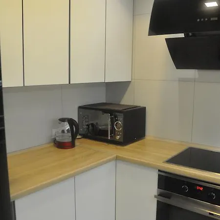 Апартаменти Fireplace On Puliuia 40 *