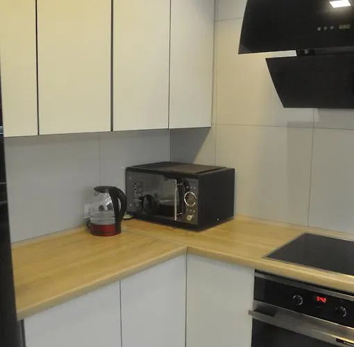 Lägenhet Fireplace On Puliuia 40 *